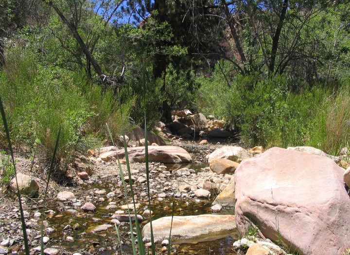 Desert Creek